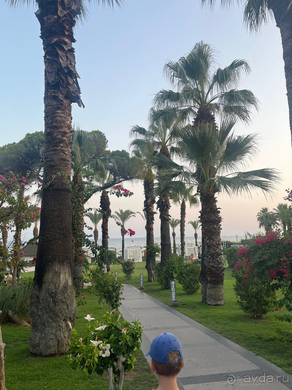 Рекомендую для семей с детьми