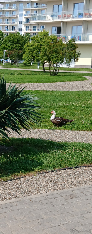 Короткий, но очень приятный отдых в шикарном отеле