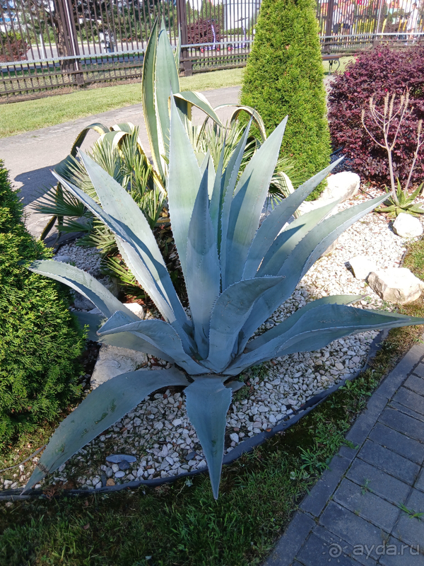 Короткий, но очень приятный отдых в шикарном отеле