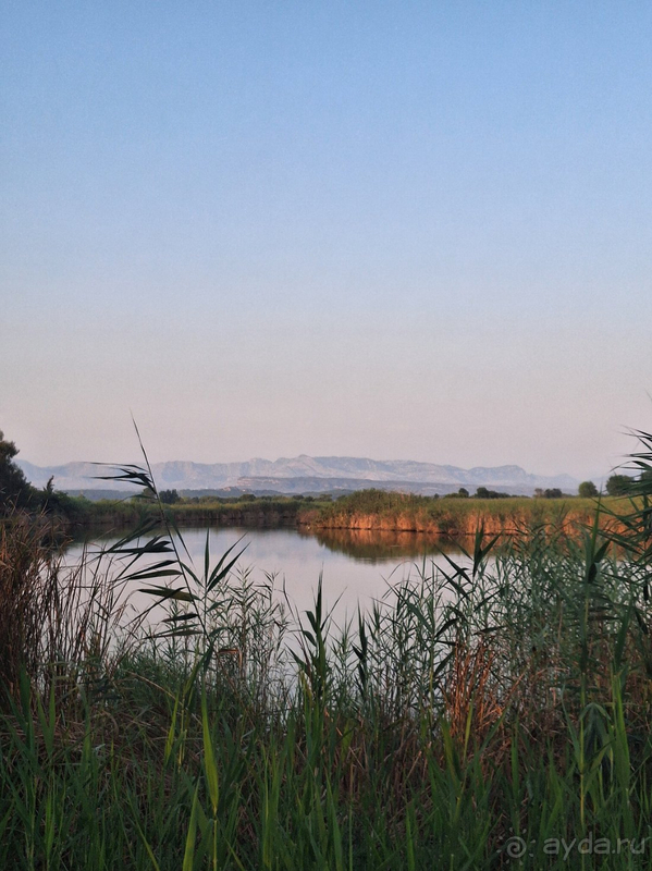 Paraiso Verde точно не райское местечко!!!