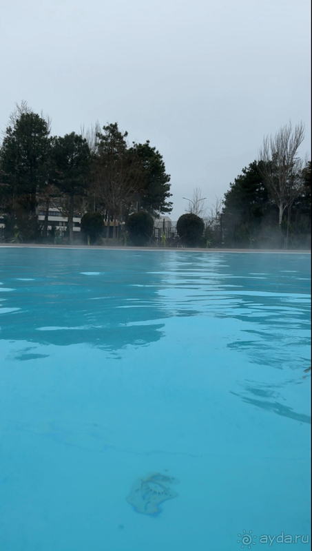 Отдых в отеле Мовенпик