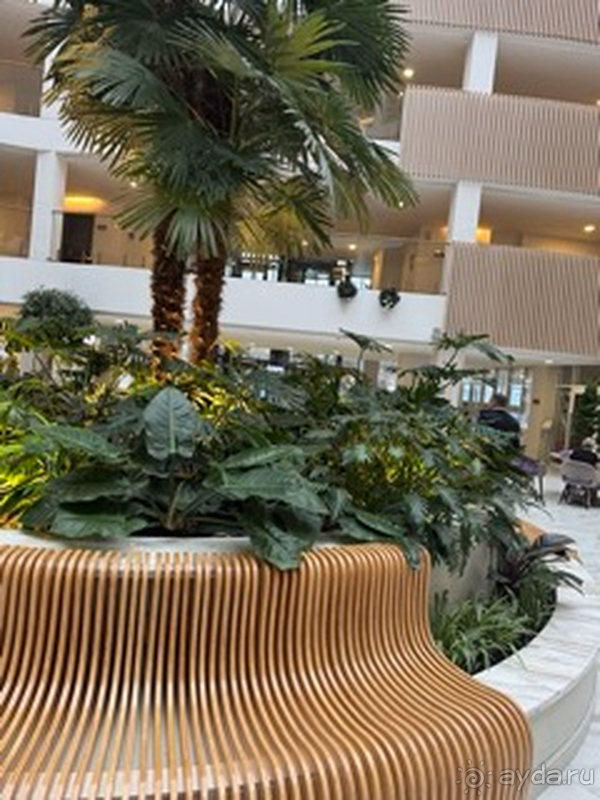 Отдых в отеле Мовенпик