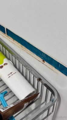 Это не 5 звезд.