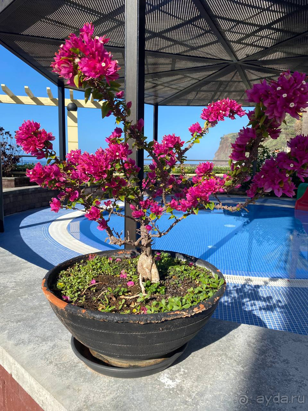 Хороший отель и по качеству и по расположению