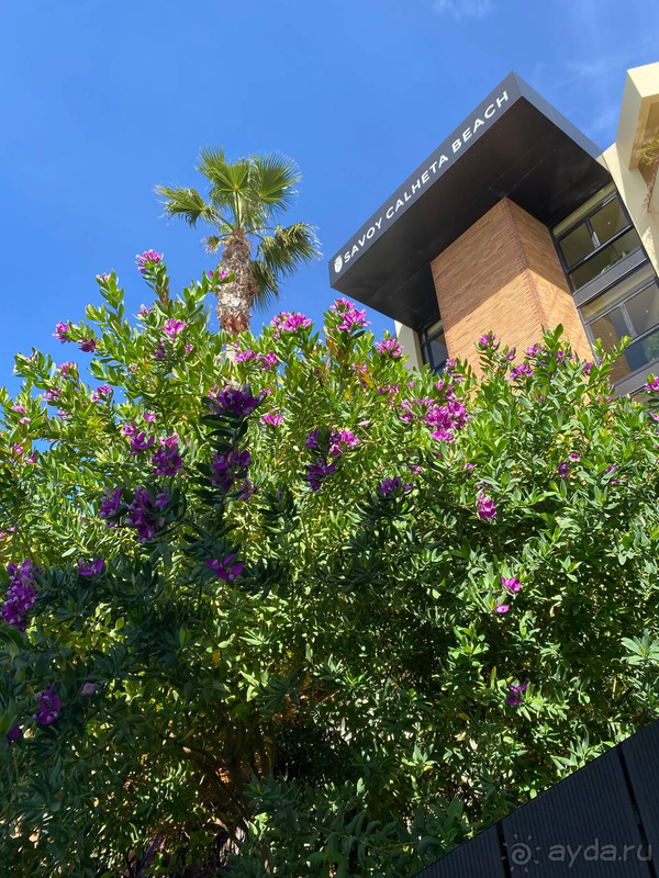 Хороший отель и по качеству и по расположению