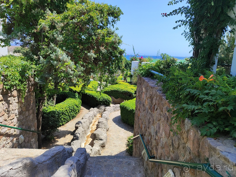 Замечательный отель!