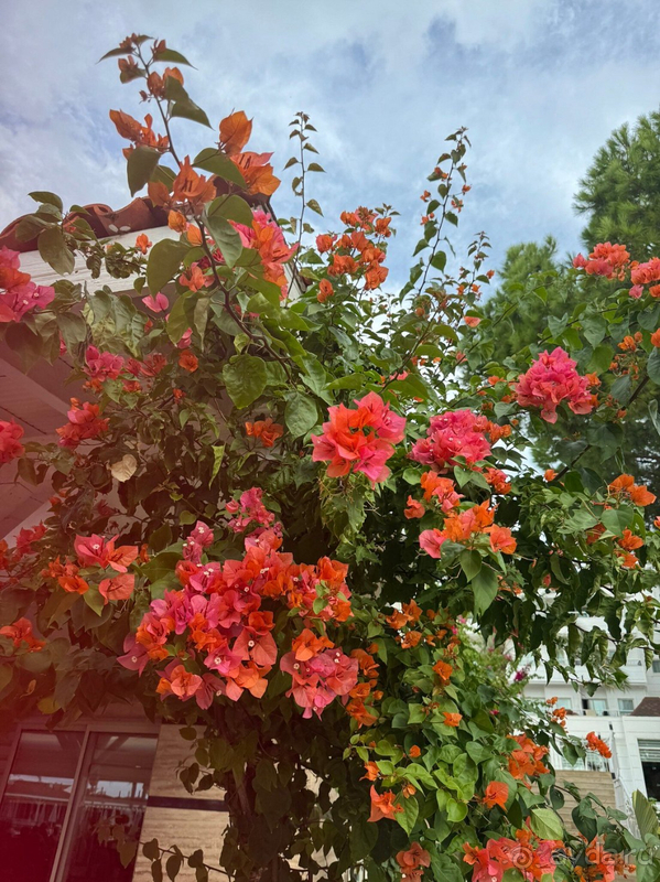 Скучно с детьми, в конце сезона