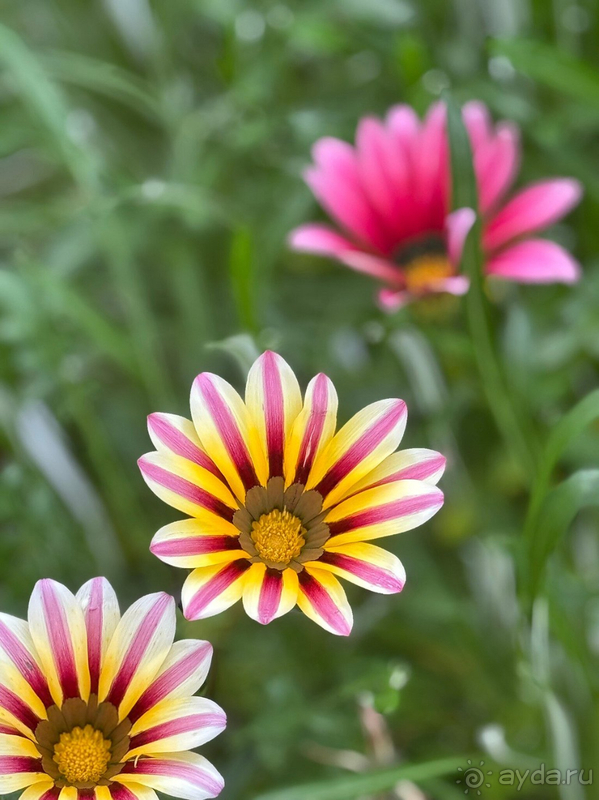 Скучно с детьми, в конце сезона