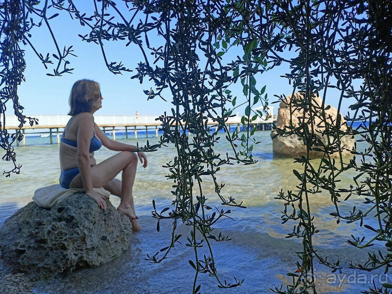 Санрайз как Санрайз