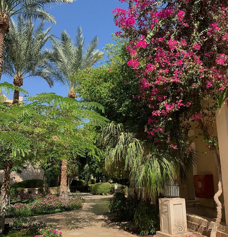 Отличный отдых в The Grand Hotel Sharm