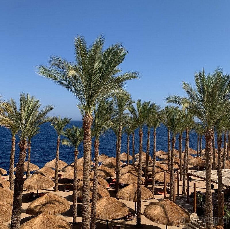 Отличный отдых в The Grand Hotel Sharm