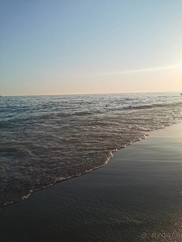 Альбом отзыва "Отель хороший, но есть нюанс"