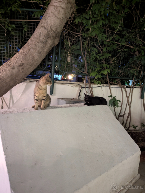 Отличный бюджетный отель (хотя сейчас вроде чуть подорожал)