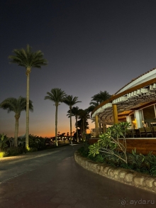 Отдых на новогодних