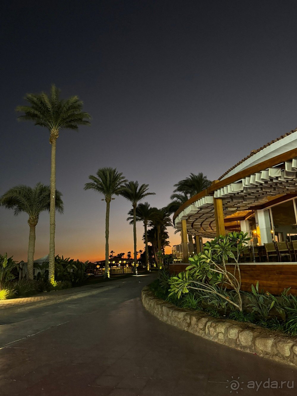 Отдых на новогодних