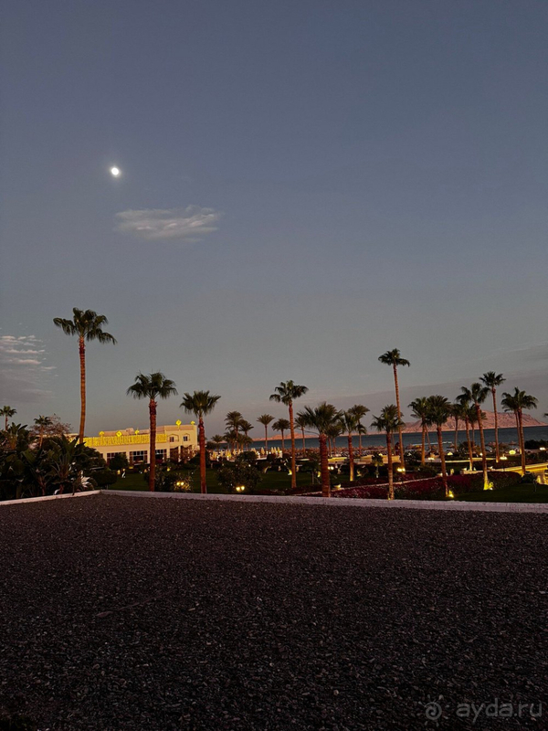 Отдых на новогодних