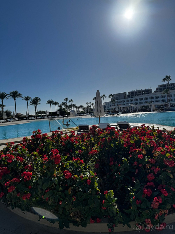 Отдых на новогодних