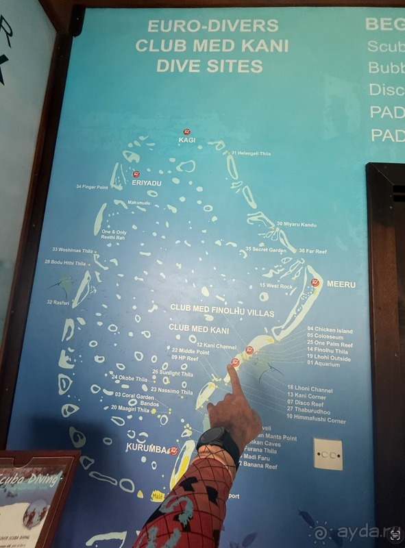 Требуют двойную оплату Требуют двойную оплату