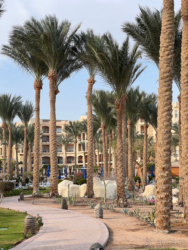 Приятный отпуск в январе.