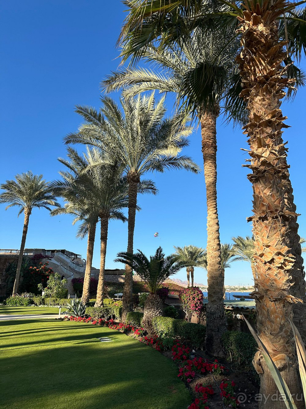 Мы в восторге!!!