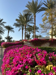 Мы в восторге!!!