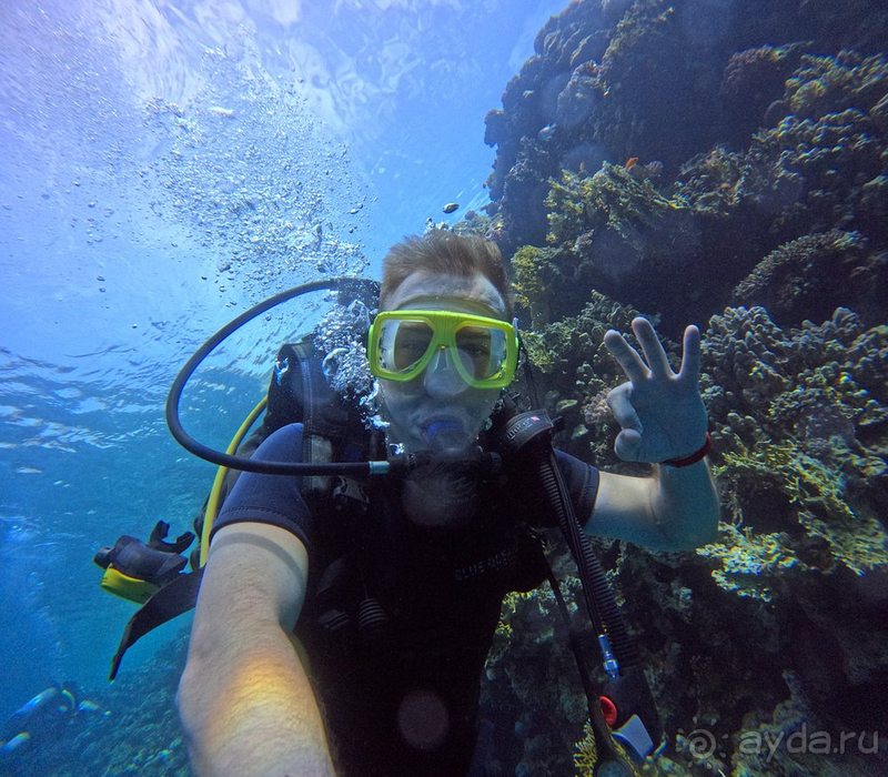 Мы в восторге!!!