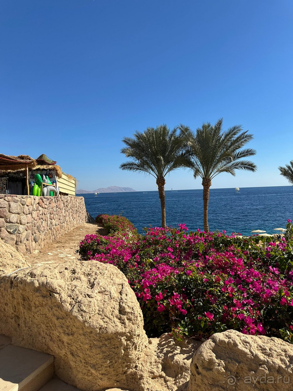 Мы в восторге!!!