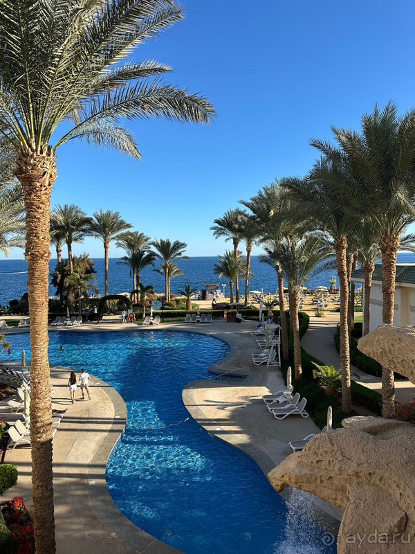 Мы в восторге!!!