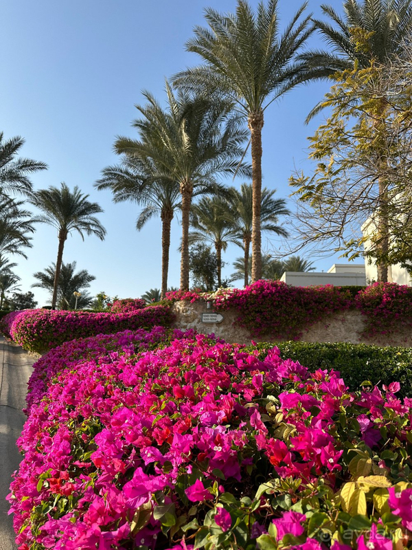 Мы в восторге!!!