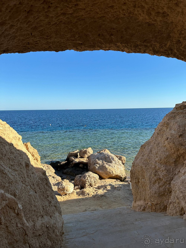 Мы в восторге!!!