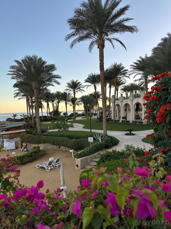 Мы в восторге!!!