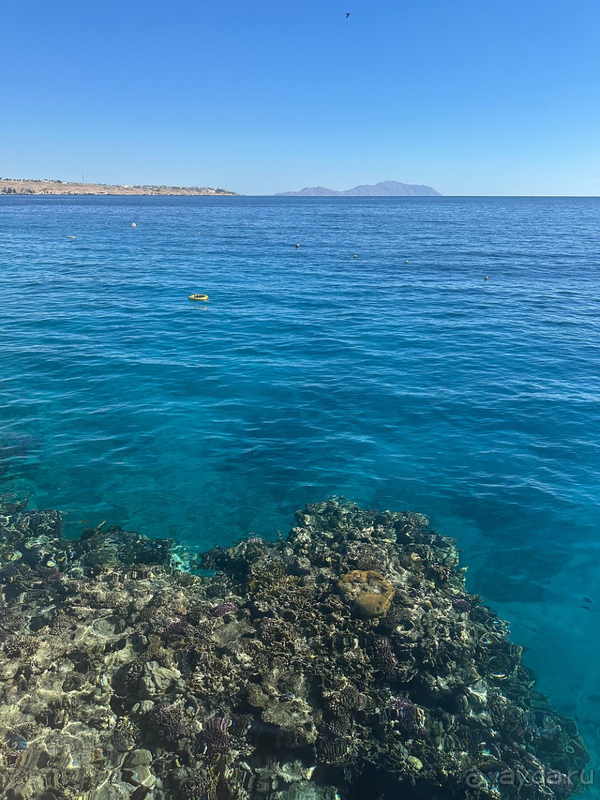 Мы в восторге!!!