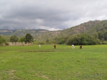 Отзыв об отеле Rixos Premium Tekirova