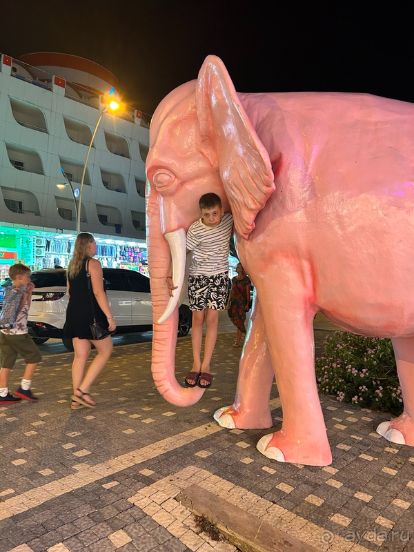 ОТЕЛЬ ОТЛИЧНЫЙ!!! ОСОБЕННО ДОВОЛЬНЫ ДЕТИ!!!