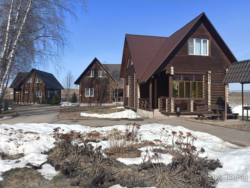 Тихий и слегка аскетичный отдых в соснах вблизи столицы