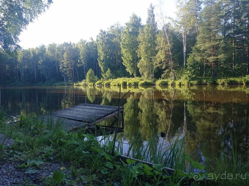 Тихая душевная (рыбацкая) база в Ярославской глуши по соседству с медведями
