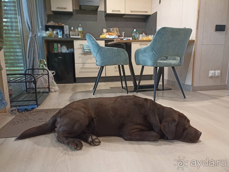 Альбом отзыва "Гламурный отдых в глуши с отличным сервисом"