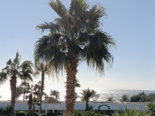 Рекомендуем