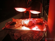 Рекомендуем