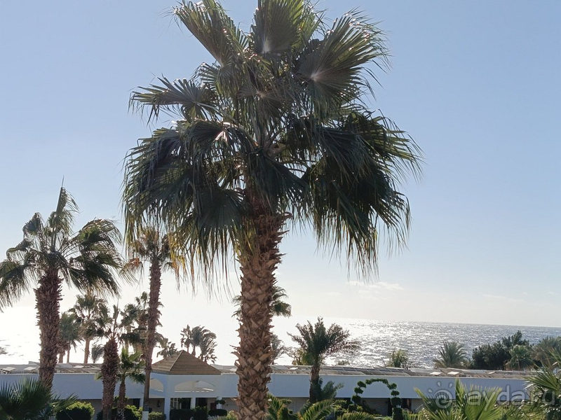 Рекомендуем