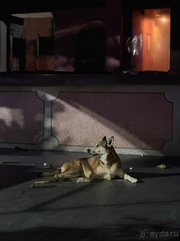 Идеальное сочетание тишины, комфорта и отличного сервиса!