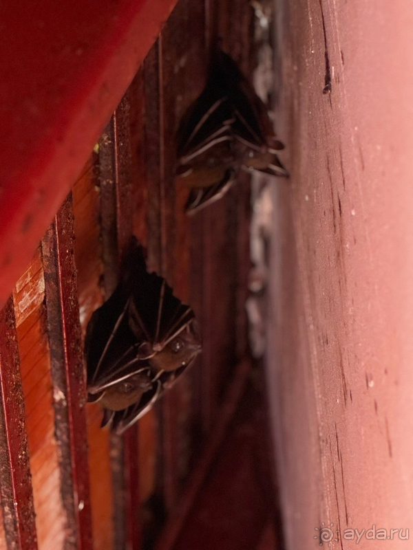 Идеальное сочетание тишины, комфорта и отличного сервиса!