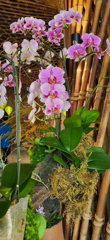 Впечатление от отдыха в отеле