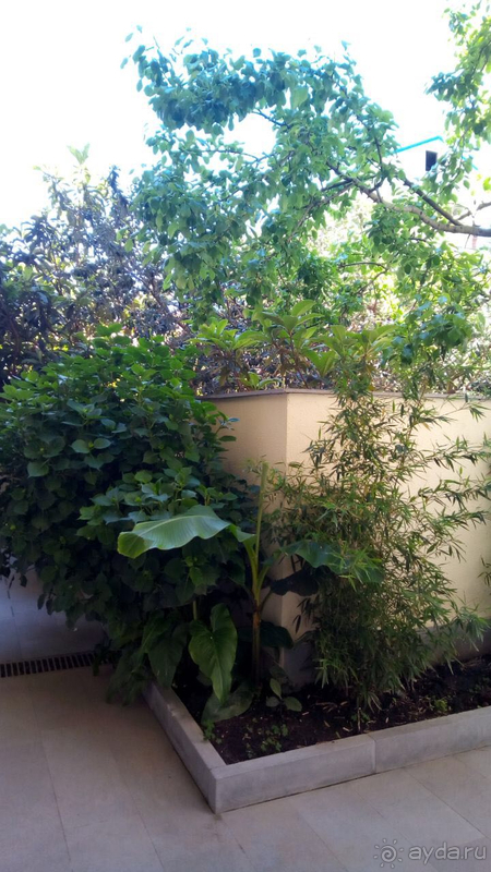 фото Экодом Адлер