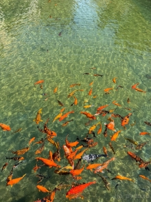 Отличный отель для отдыха с детьми