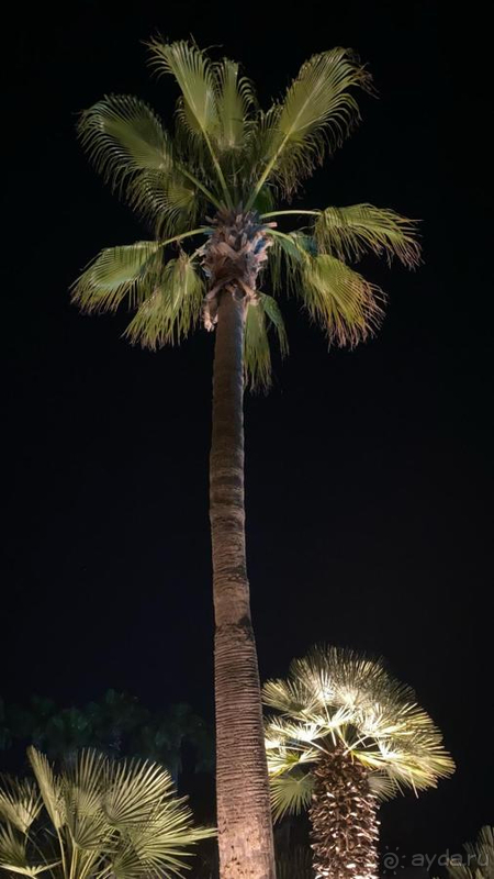 Это один из лучших отелей Турции по всем параметрам