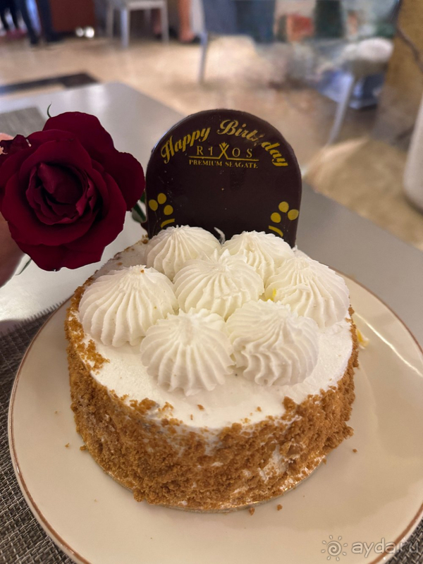 Альбом отзыва "Rixos Premium Seagate — эталон сервиса и гостеприимства"