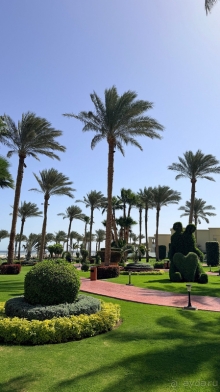 фото Rixos Seagate Sharm