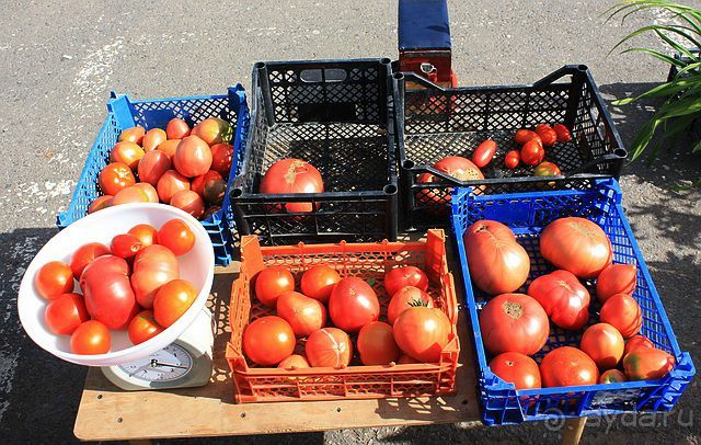 Зарайский рай.  Озеры и Бело-Песоцкий монастырь /ч.2