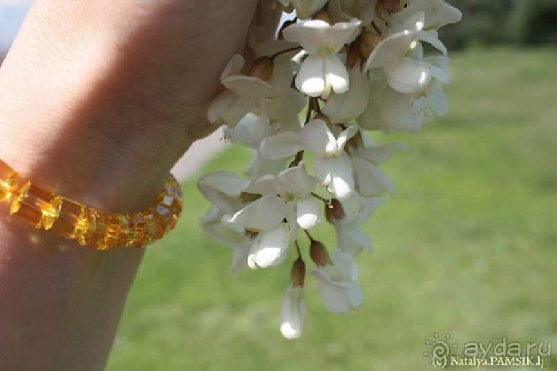 ТОП-10+ самых интересных достопримечательностей в Курске и области